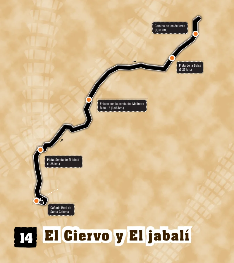 14 (Descenso) El Ciervo y El jabalí